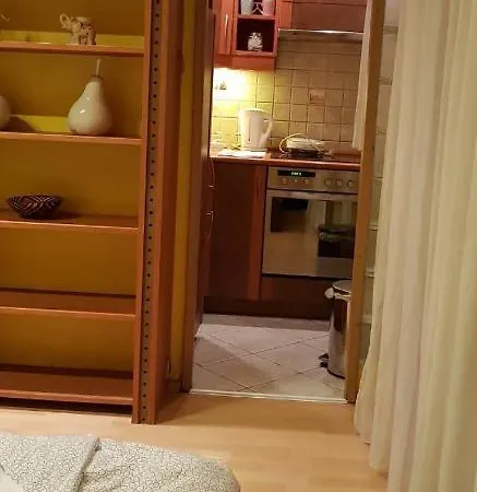 Apartment Obuda *